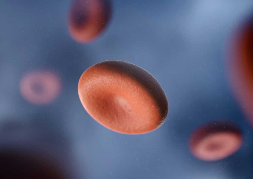 Which jobs need a BBP certificate?