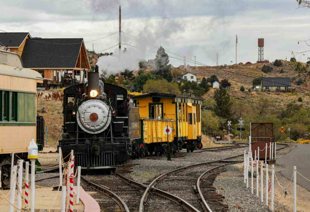 Getting a Virginia Tattooer License