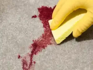 OSHA Bloodborne Pathogens and CPR Training