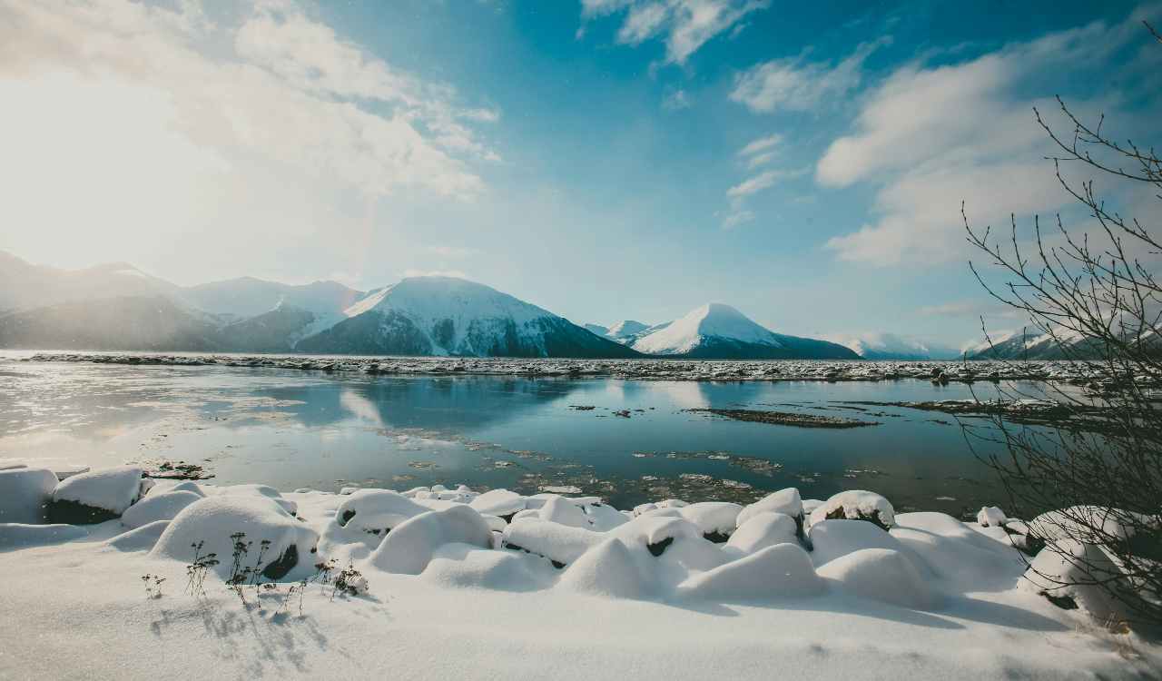 Tattoo Licensing in Alaska