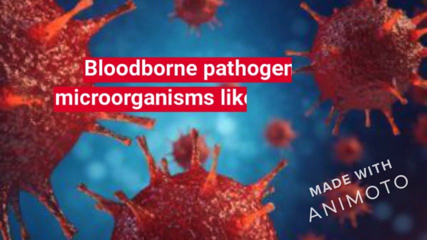 Bloodborne Pathogen Training
